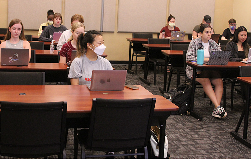 Students sitting in classroom in front of their laptops