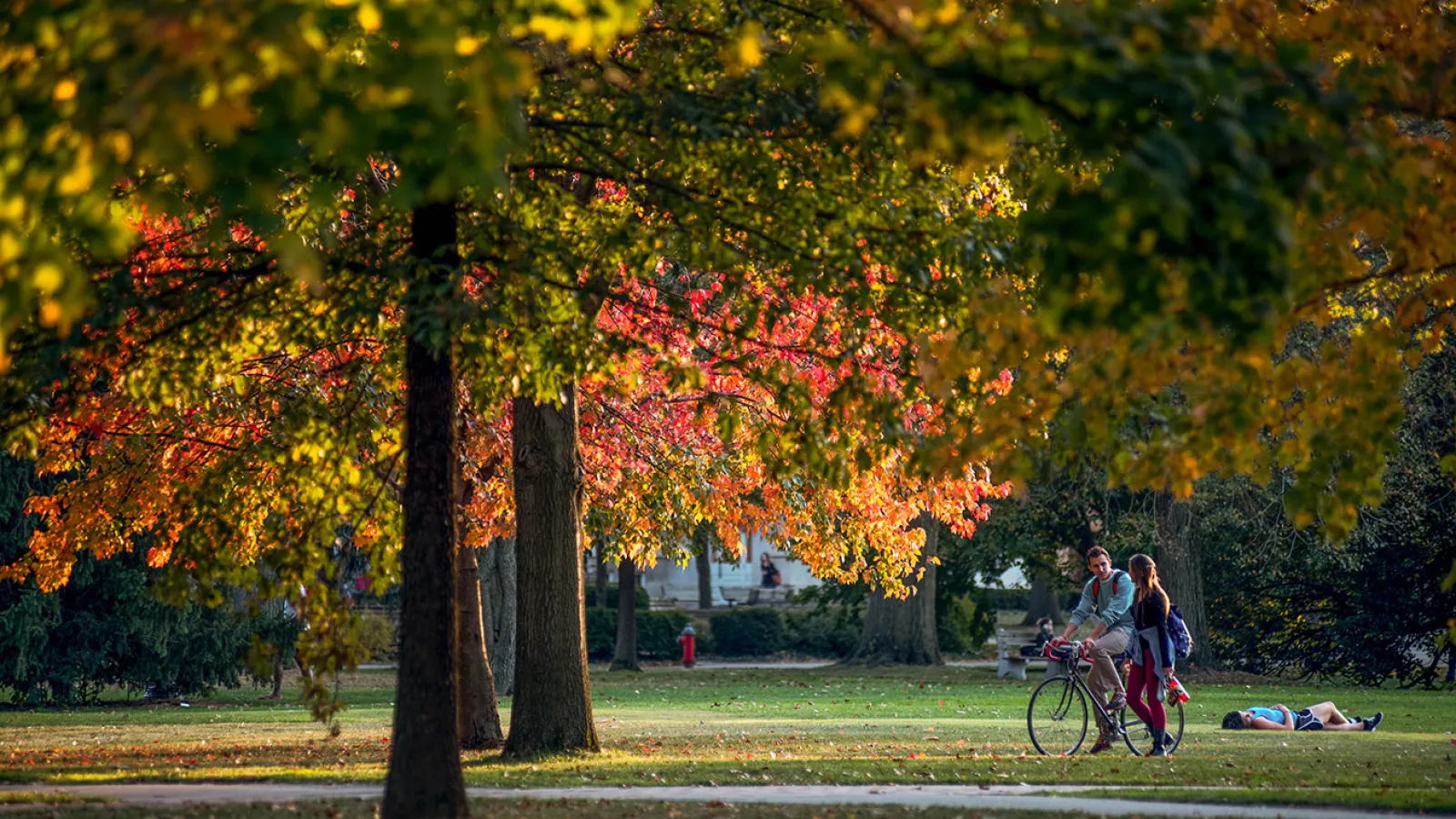 autumn leaves on campus