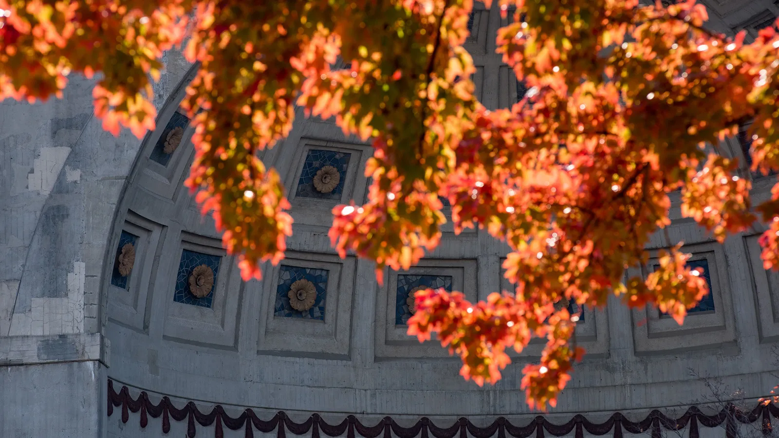 Autumn leaves in front of Ohio Stadium rotunda
