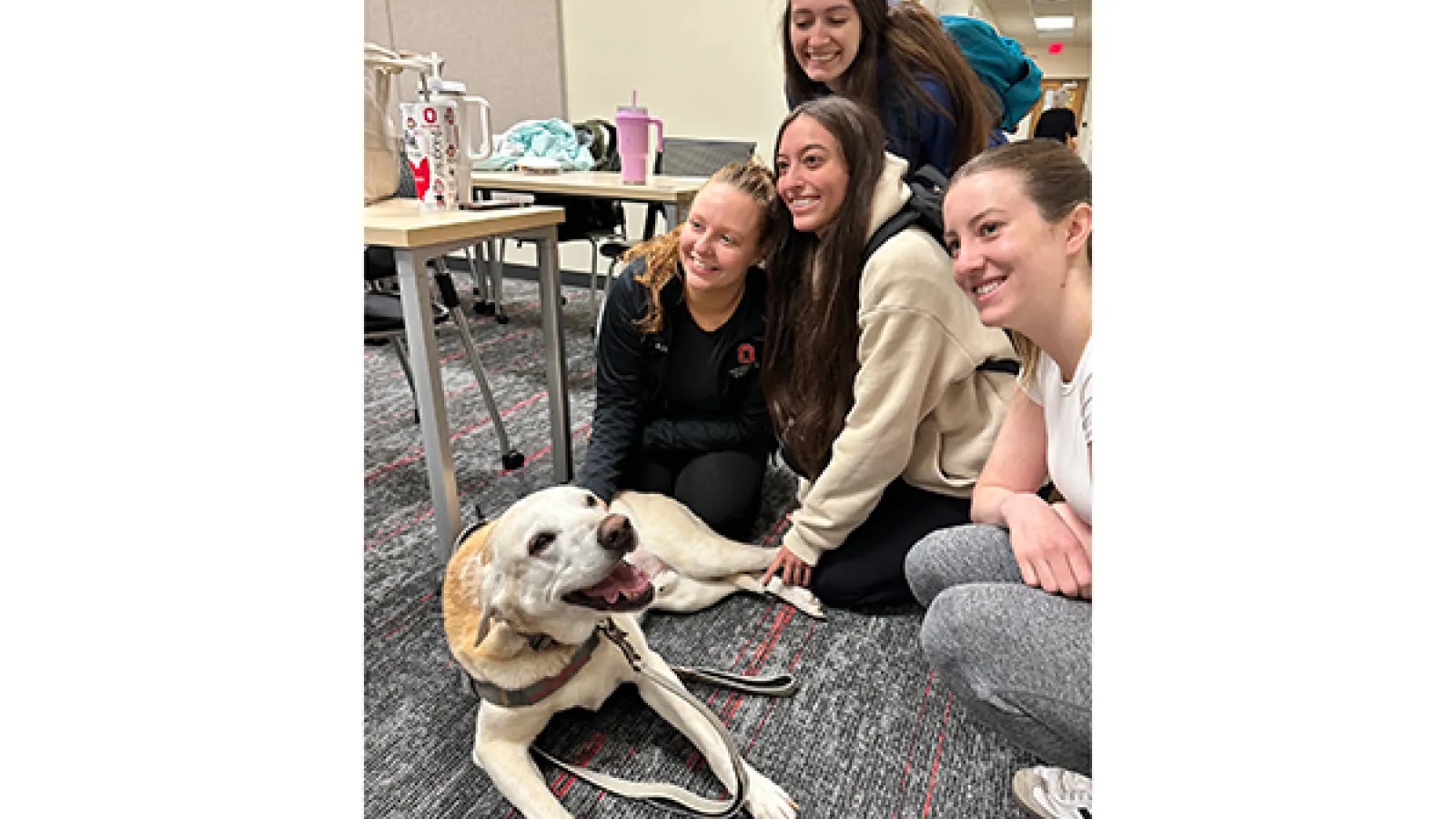 Yellow labrador surrounded by smiling students