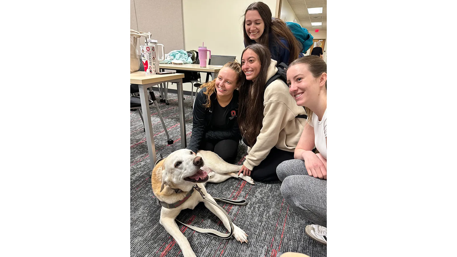 Yellow labrador surrounded by smiling students
