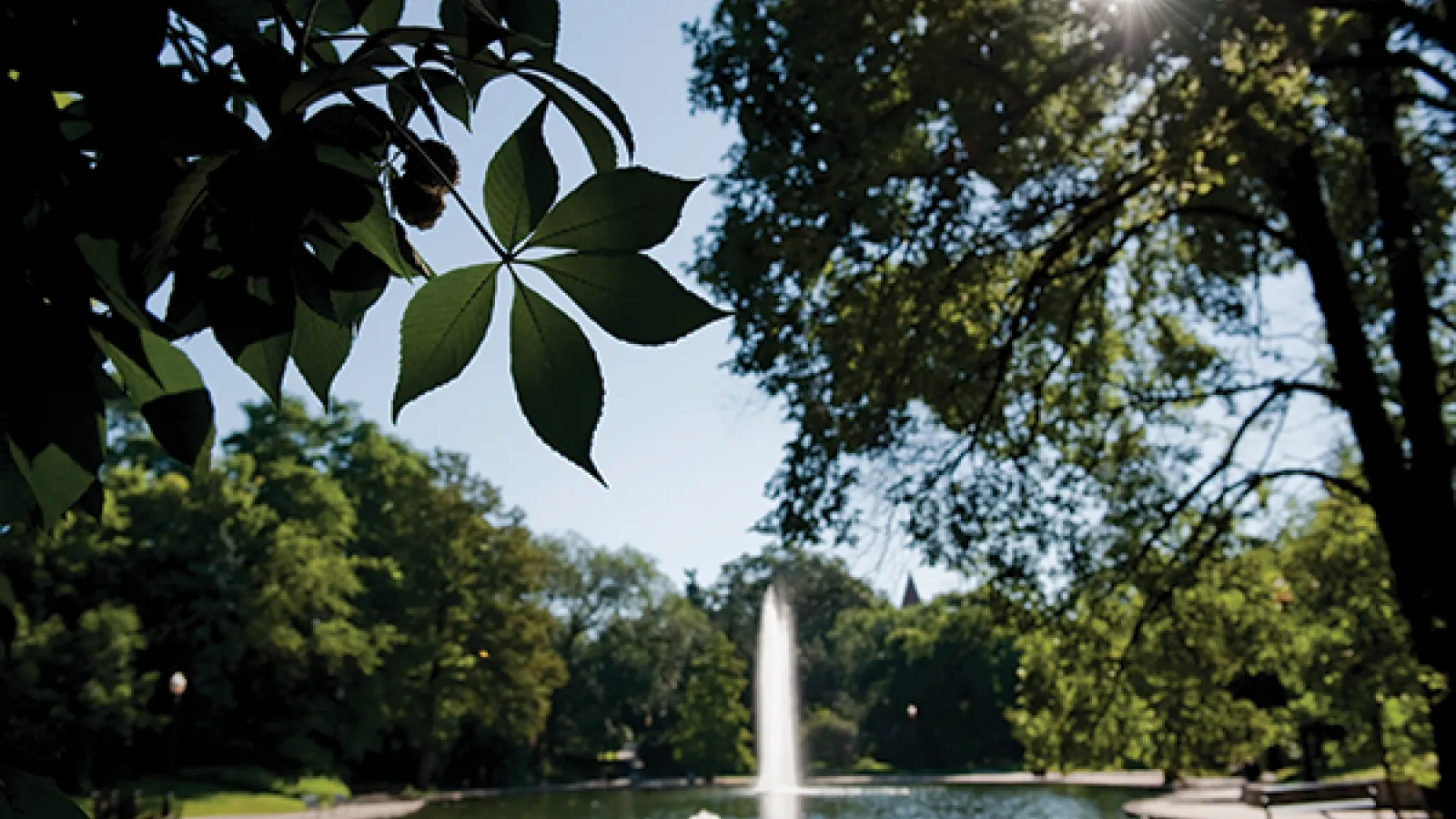 buckeye leaf in foreground of mirror lake