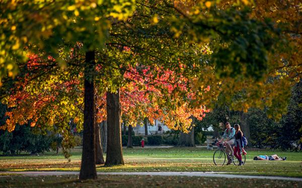 Fall trees on oval with student on bicycle