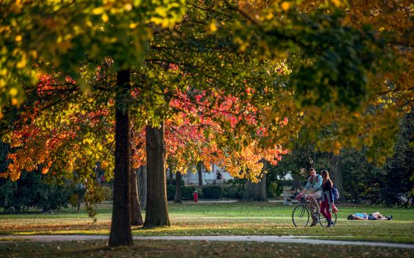 autumn leaves on campus