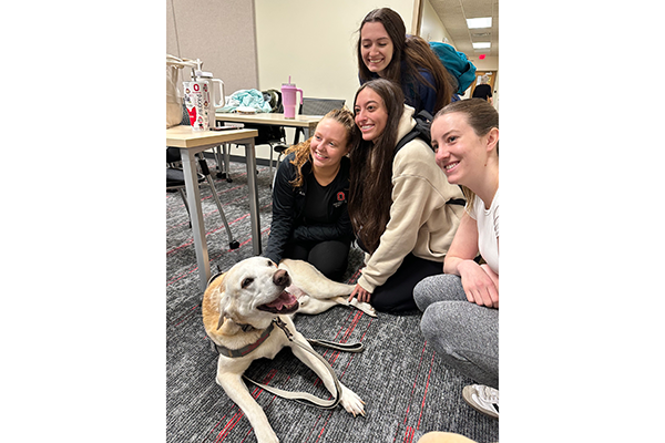 Yellow labrador surrounded by smiling students