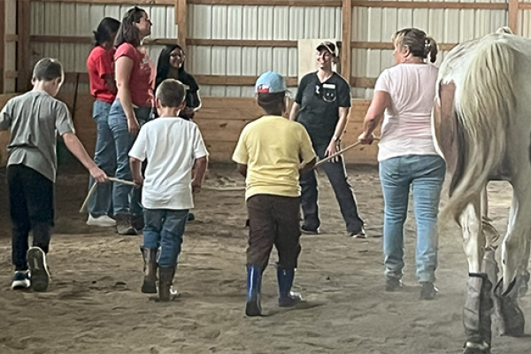 group of children and adults working with a horse
