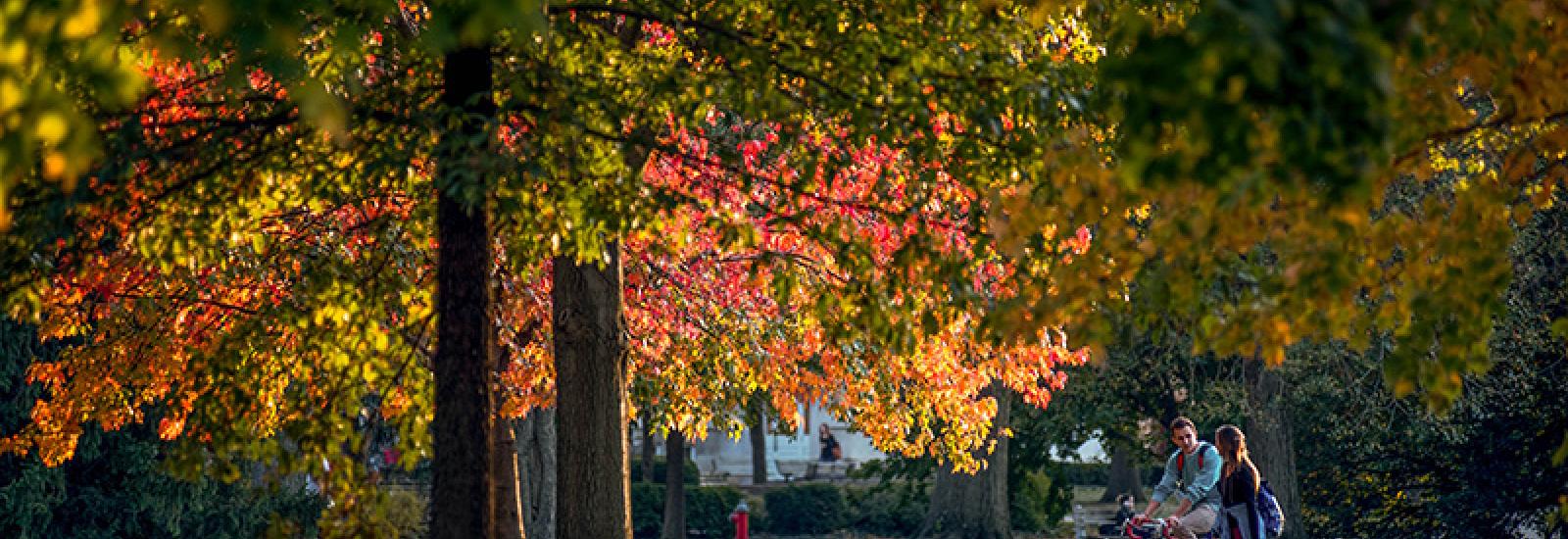 Fall trees on oval with student on bicycle