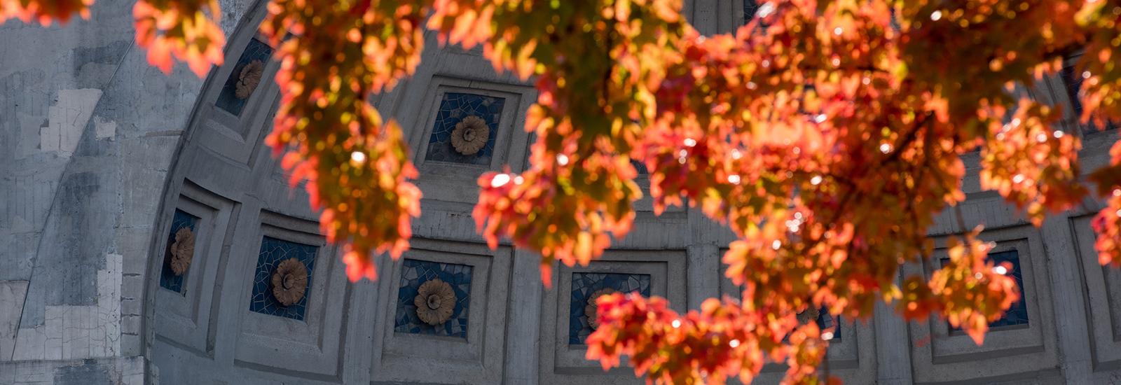 Autumn leaves in front of Ohio Stadium rotunda